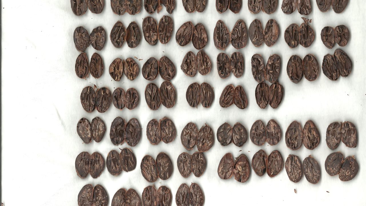 Qu&rsquo;est-ce qu&rsquo;un bon chocolat ?