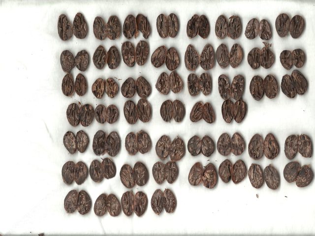 Qu&rsquo;est-ce qu&rsquo;un bon chocolat ?