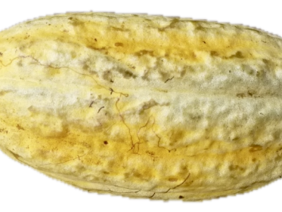 Pérou