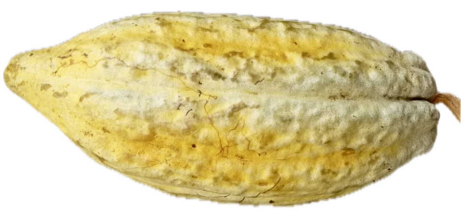 Pérou